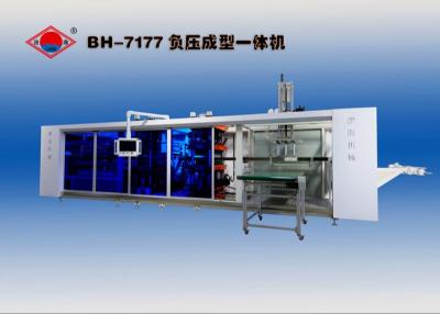 China Servo Plastic 400mm Blister Forming Machine Station Lunch Box Fully Automatic for sale