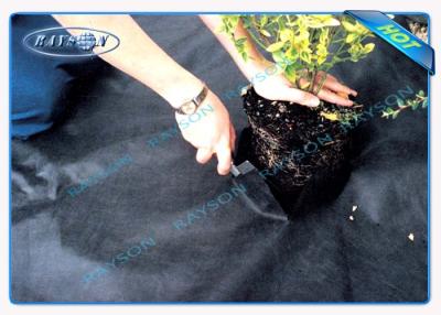 China Environment Friendly Agriculture Non Woven Cover In PP Spunbonded Non Woven Fabric for sale