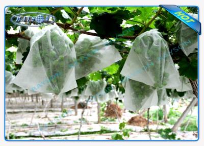 China Soft Feeling Polypropylene Non Woven Fabric Landscape Crop Cover for sale