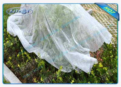 China White Biodegradable Non Woven Landscape Fabric OEKO TEX Certificate for sale