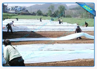China Durable Super Wide Agriculture Non Woven Cover For Ginseng Planting for sale