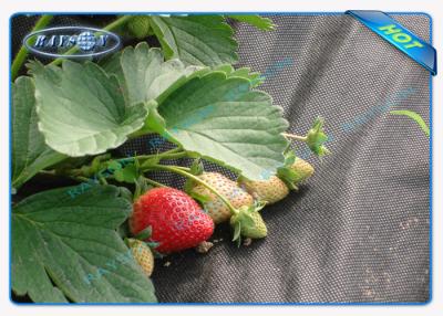 China Black Permeable Non Woven Landscape Fabric For Ground Control / Strawberry for sale