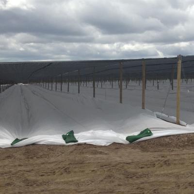 China Non Woven PP Agricultural Crop Cover Jointed Width For Frost Protection for sale