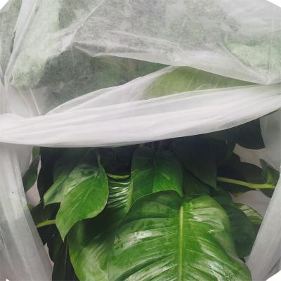 China Agricultural Nonwoven Spunbond Frost Blanket Crop Cover Fabric For Cold Weather à venda