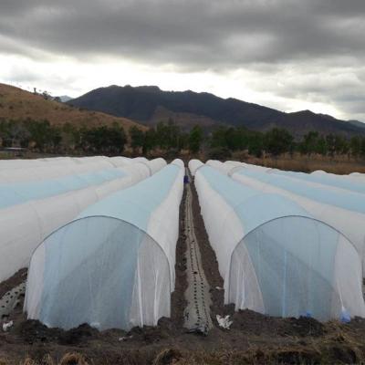 China Breathable Agriculture Tnt Greenhouse Row Cover To Protect Outdoor Plants Vegetable for sale