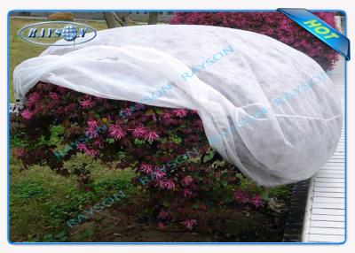 China Potted Plant Agriculture Non Woven Cover For Cold - Proof Protection for sale