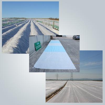 China White Uv Treated Agriculture Non Woven Fabric Spunbond Frost Plant Protection for sale