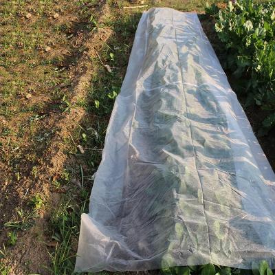 China 100gsm Greenhouse Plastic Film Agricultural Uv Treated Nonwoven Industrial Grade Pe Film for sale