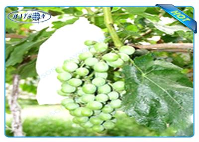 China Bolso no tejido disponible de la protección de la fruta del OEM para la talla 20 cm los 22cm de la uva en venta