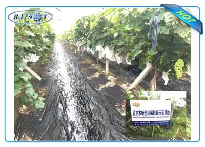 Chine Anti tissu non tissé UV de paysage de pp pour la zone agricole en tant que les bâches ou sacs moulus d'usine à vendre