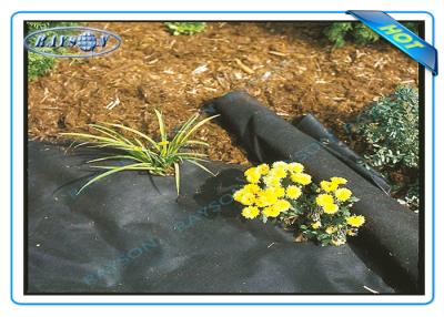 China Anti UV Agriculture Non Woen Cover Weed Control Fabric for sale