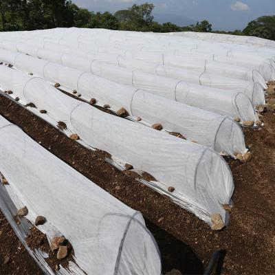 Chine Tissu non-tissé agricole non tissé du tapis pp Spunbond de lutte contre les mauvaises herbes avec 3% UV à vendre