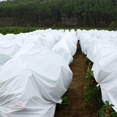 China Tela no tejida anti 100% de la red del insecto del invernadero de la agricultura del polipropileno en venta