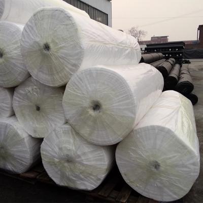 China Heavy Duty Spunbond Agricultural Non Woven Fabric 100% Polypropylene for sale