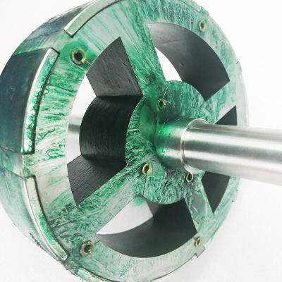China N50 Neodymium Magnetic Rotor and Stator for sale