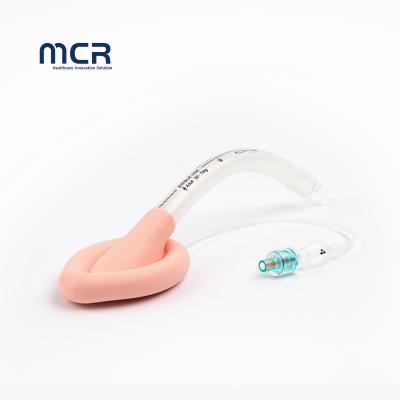 China China Medical Hot Sale Product Disposable Silicone Double Lumen Laryngeal Mask Airway Lma Anesthesia with CE ISO FDA à venda