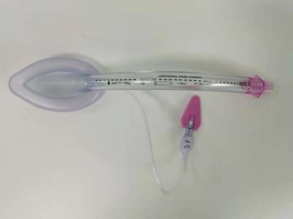 Quality Disposable PVC LMA Size 5.0 Laryngeal Mask Intubation with Bar Adult Use for sale