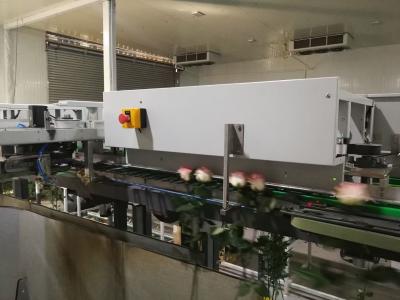 China Flower Detection Vision Inspection Equipment Fully Automatic for sale