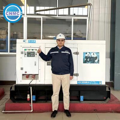 China Práctico Genset 3 Fase 4 alambre, 50kw eléctrico 50kva generador diesel en venta