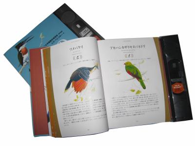 China 200pp Custom Book Offset Printing Services Hardcover Magazine Catalogue Matte Lamination for sale