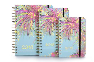 China 100gsm Organizer Planner Book Hardcover Spiral Binding 148x210mm for sale