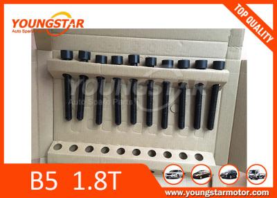 China 258139 Cylinder Head Bolts , Volkswagen B5 1.8T Cylinder Head Repairs for sale