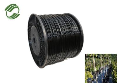 China 1mm 2mm 3mm Polyester Monofilament Yarn For Vineyard Trellis Line for sale