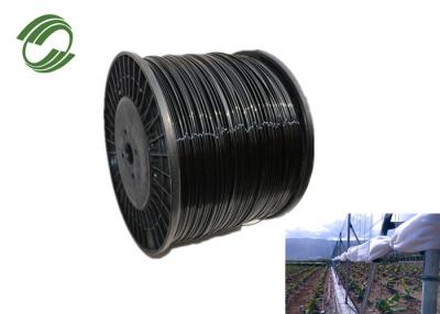 Chine Fil de monofilament de mesure du fil 12 de polyester d'agriculture de cadre de raisin à vendre