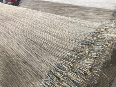 China Permeabilidad tejida del aire de la tela de madera de la conducción de calor del cáñamo de Guinea del ramio alta en venta