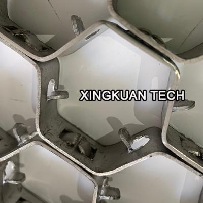 China Material des Schildpatt Edelstahl-sechseckiges Maschendraht-0Cr13 410S zu verkaufen