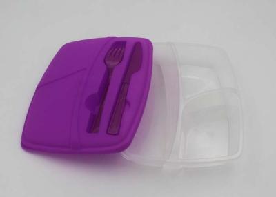 China Convenient And Safety Hard Plastic Lunch Boxes With Compartments OEM for sale