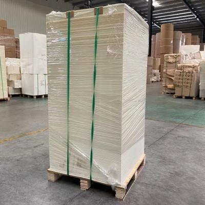 China 135G PE cubrió la hoja de la taza de papel en venta