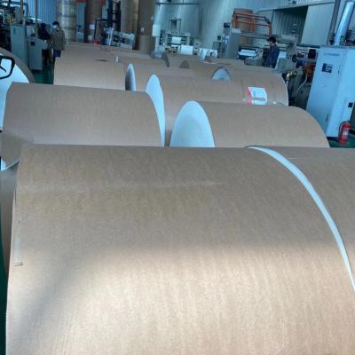 China Tamaño del tablero de marfil 750m m Grey Back Duplex Board All de FBB C1S densamente en venta