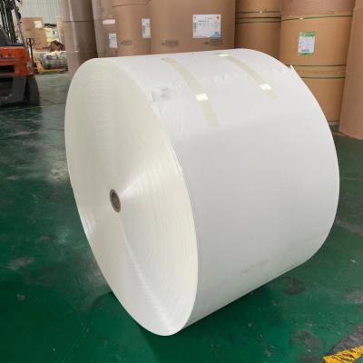 China O polietileno do marfim revestiu o rolo do papel do polietileno do papel de embalagem 300g 330g à venda