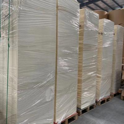 Chine Panneau de tasse biodégradable stocké qui respecte l'environnement de pâte à papier de PE de la feuille 25gsm de tasse de papier à vendre