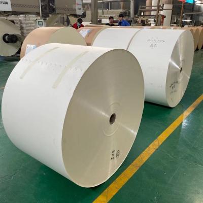 China Offset PE Laminated Paper 230gram Flexographic Paper Cup Roll for sale