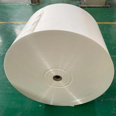 China ECO Single PE Laminated Paper 210g+15g PE Coated Paper Rolls for sale