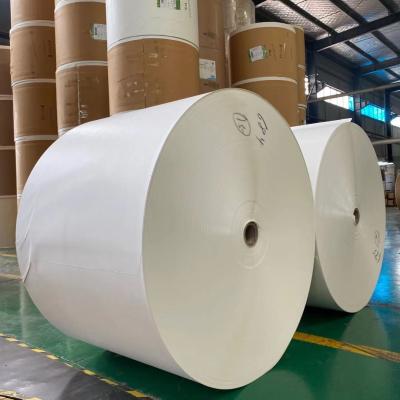 China El doble de madera PE de la categoría alimenticia del papel de tablero de marfil de la pulpa 170gsm cubrió el rollo en venta