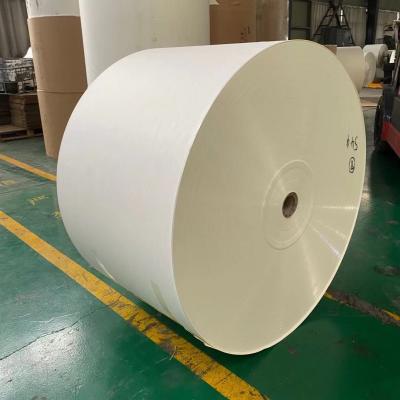 China Good Compression Resistance Ivory Board Paper Roll Food Grade PE Coated for sale