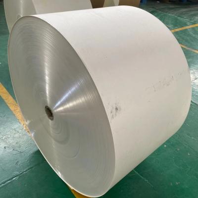 China 250gsm 300gsm Ivory Board Paper 89% Whiteness FBB Paper for sale