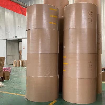 China rollo de papel de marfil disponible al por mayor del tablero de papel de 190gsm 210gsm FBB en venta