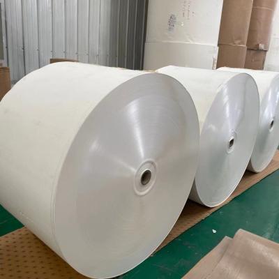 China White 190g-310g Ivory Paper Sheet 100 Virgin Wood Pulp No Printed for sale
