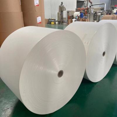 China 190gsm 210gsm Disposable Paper Roll Stiffness 6 Cupstock Paper for sale