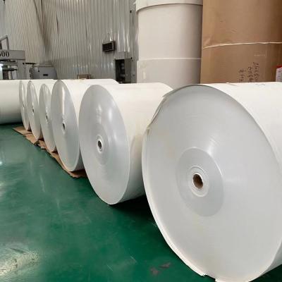 China 167gsm Double PE Coated Paper Roll Offset Printed Dia 1100mm for sale