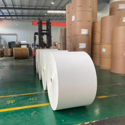 China Enso 235g Jumbo Paper Roll 185gsm Single PE Coated Paper for sale