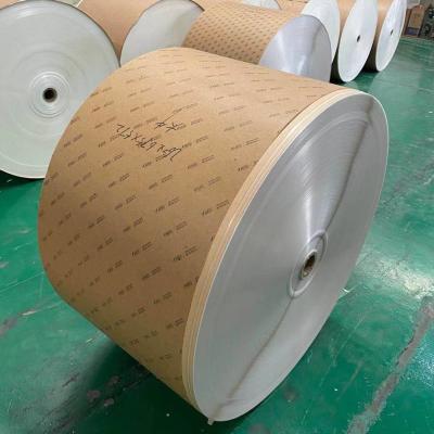 China PE Coating 260GSM Jumbo Paper Roll 600mm-1300mm Width for sale
