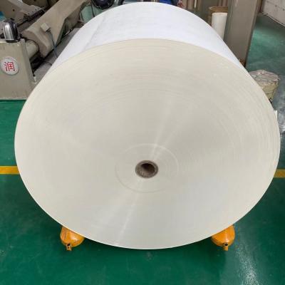 China 100% Virgin 210+15 Double PE Coated Paper Jumbo Roll Biodegradable for sale
