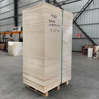 Chine Fabrication pour le panneau de tasse en bois vierge de papier de feuille de tasse de pâte à papier de 100% à vendre