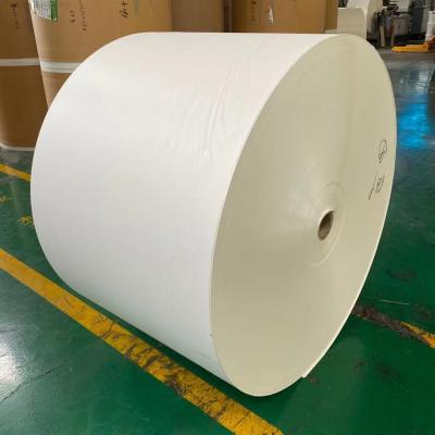 China Nenhum Infitration 300gsm biodegradável que imprime o PE revestiu o rolo de papel para fazer os utensílios de mesa de papel à venda