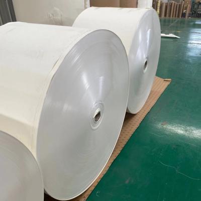 Chine Le PE 280gsm brillant imperméable a enduit le petit pain de papier biodégradable à vendre